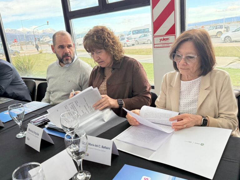 La Dra. Battaini formó parte de la Mesa Interinstitucional de Trabajo por las Infancias