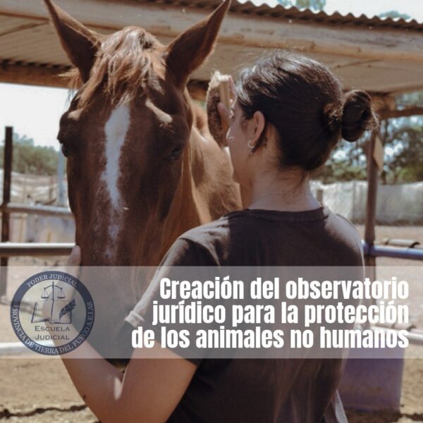Creación del Observatorio Jurídico para la Protección de los Animales No Humanos