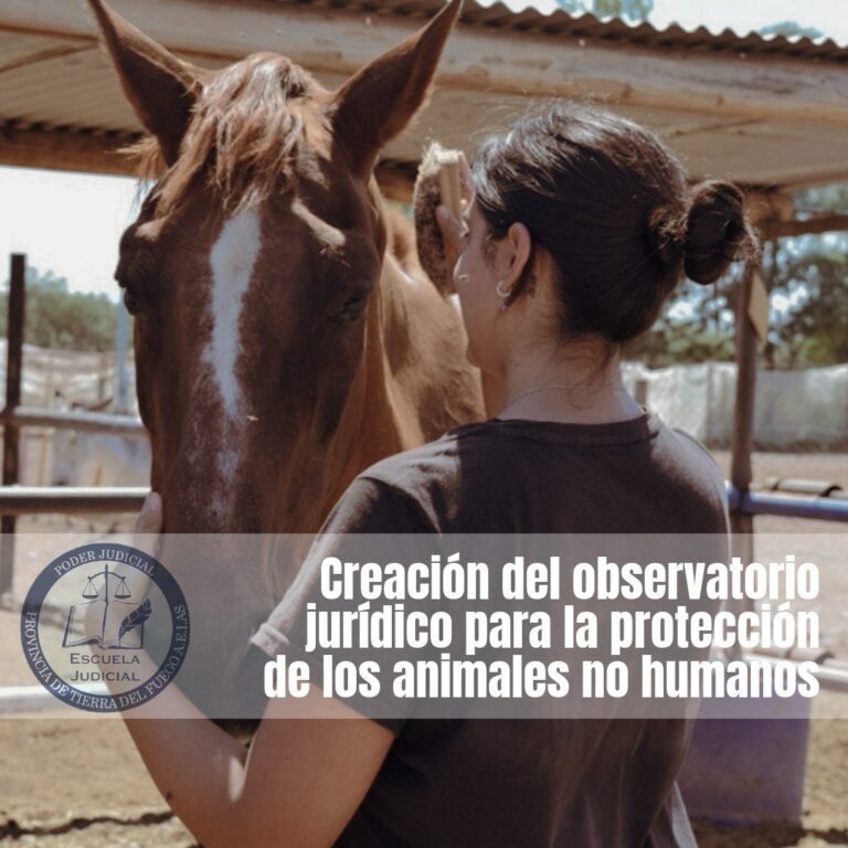 Creación del Observatorio Jurídico para la Protección de los Animales No Humanos