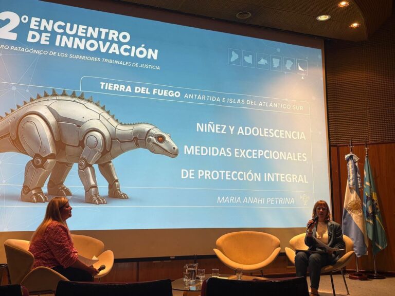 El Poder Judicial fueguino compartió su protocolo de intervención en medidas excepcionales de protección de NNyA