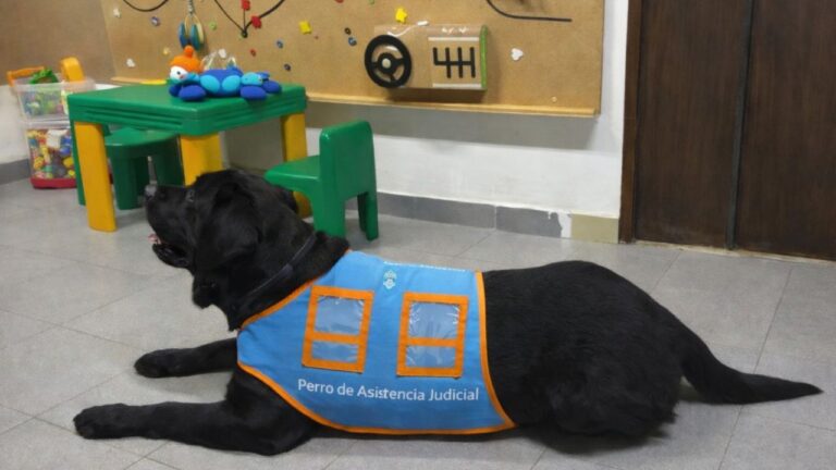 Evalúan la incorporación de perros de asistencia judicial en intervenciones con niños, niñas y adolescentes en el fuero de familia